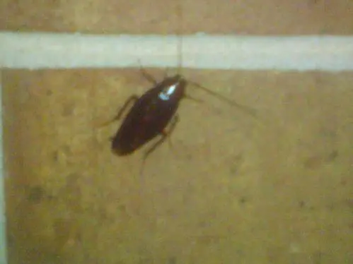 Atlanta, Géorgie