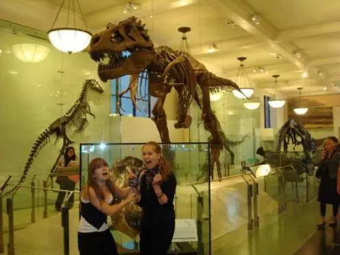 Museum für Naturkunde, New York