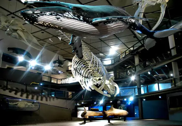 Kolejne muzeum. + Planetarium.