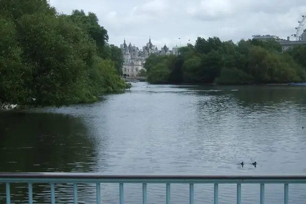 image/jpeg