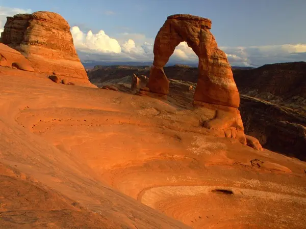 image/jpeg