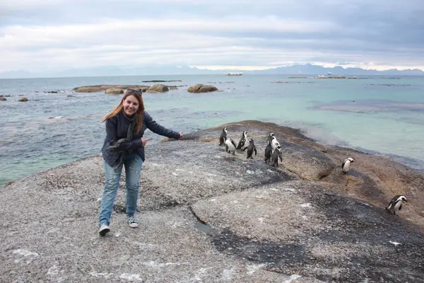 PINGÜINOS