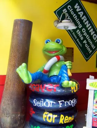 Senior Frog's.... 在这里一切皆有可能 =)