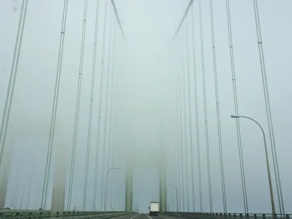 image/jpeg