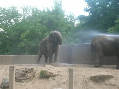 Denver Zoo, Colorado