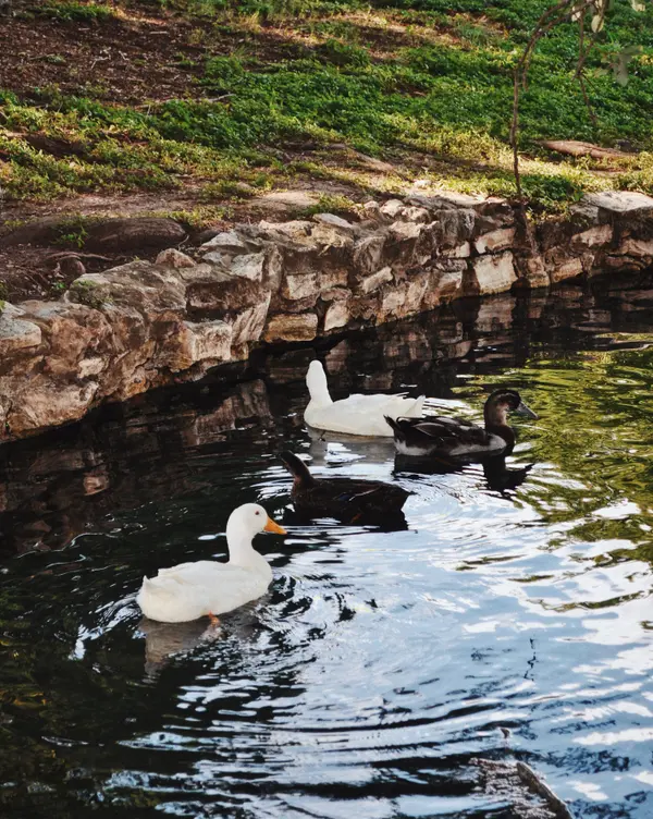 image/jpeg