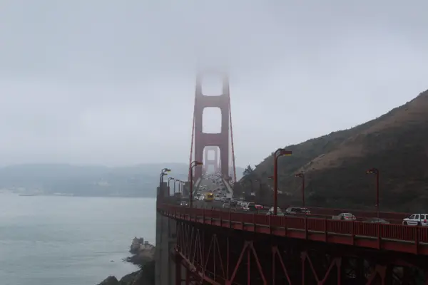 image/jpeg