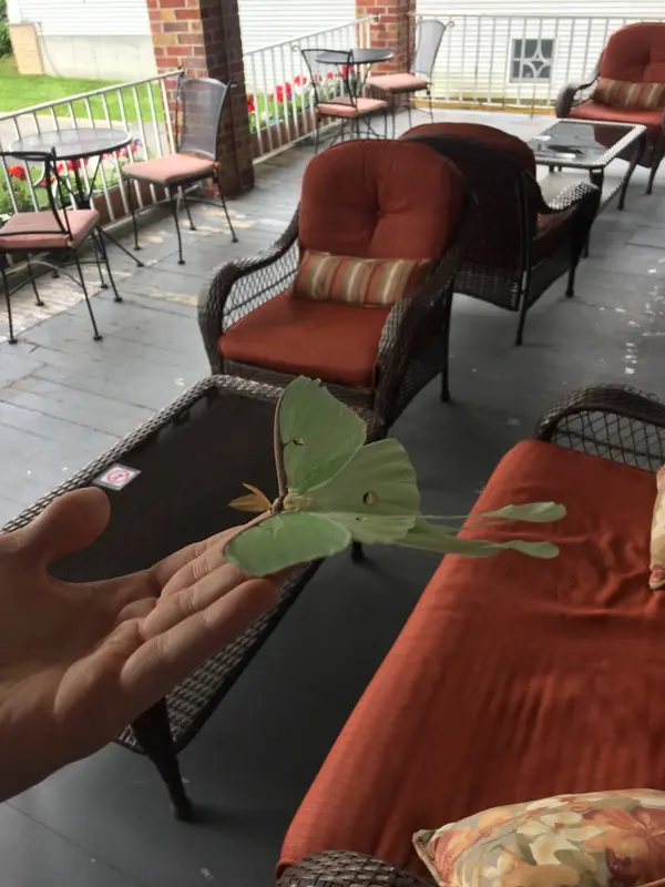 image/jpeg