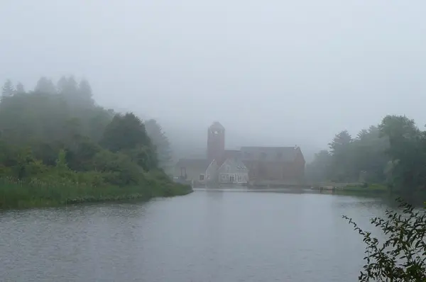 image/jpeg