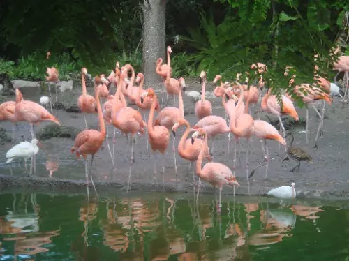 Miami, Florida